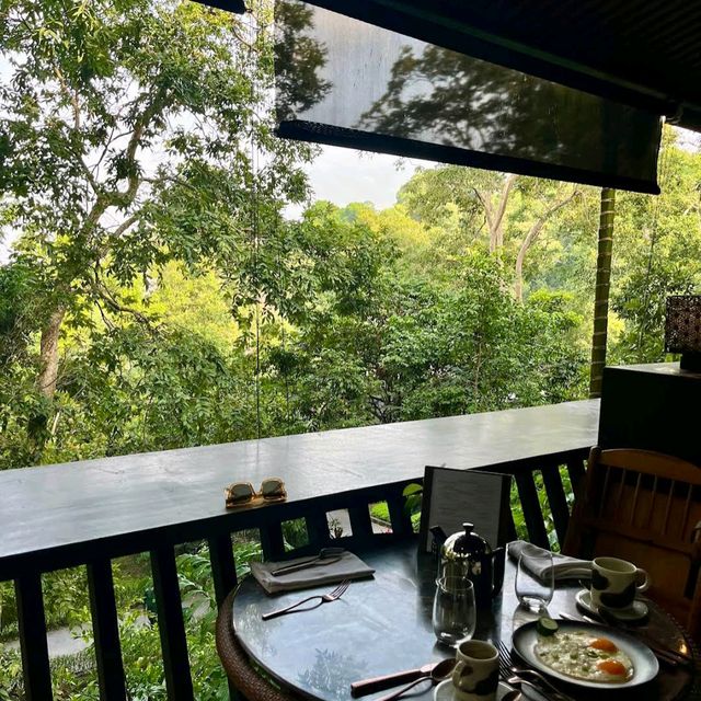 Ritz-Carlton Rainforest Villa