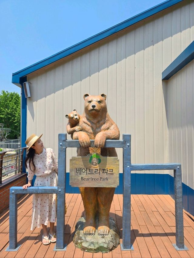 곰돌이와 장미를 볼수있는 세종 여행코스🧡
