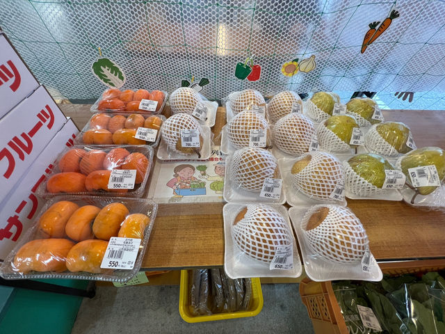 🚗 A Hidden Gem on the Highway – Roadside Station Chokai Flat