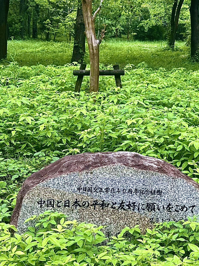 โอซาก้า🇯🇵