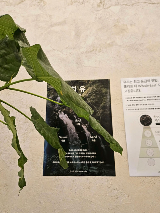 🤎💜동탄 센트럴파크 카페 부부티하우스