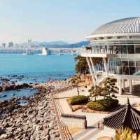 Nurimaru APEC House, Busan: A Blend of History, Architecture, and Coastal Beauty