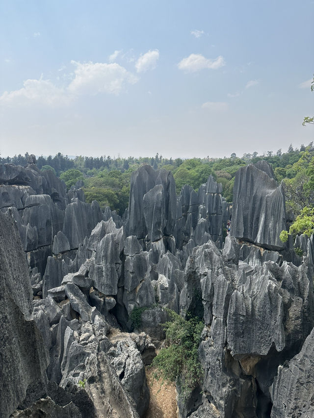 Explore the Otherworldly Beauty of Stone Forest – Yunnan’s Natural Wonder