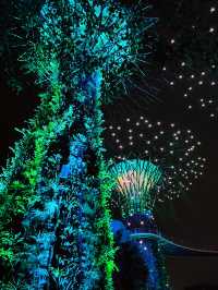 OCBC Skyway at Gardens by the Bay – A Must-Visit Nighttime Spectacle in Singapore