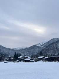 12月嘅觀雪之旅