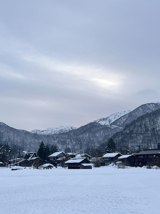 12月嘅觀雪之旅