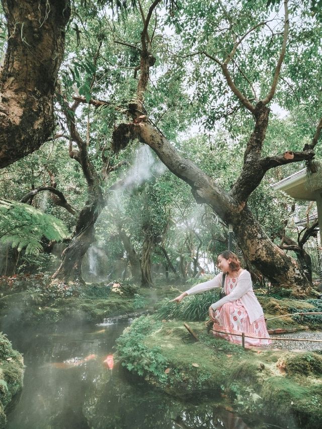 Stepping Into a Fairy Tale in Chiang Mai 🌳🧚‍♀️