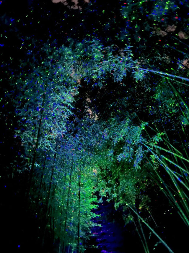 🌌 대나무 사이로 흐르는 불빛, 울산 십리대숲 야경 산책