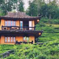 ⛰️ ลีไวน์รักไทย แม่ฮ่องสอน