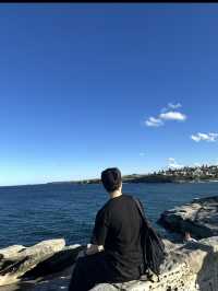 본다이 본디 