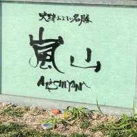 Kyoto’s Arashiyama: A Relaxing Escape