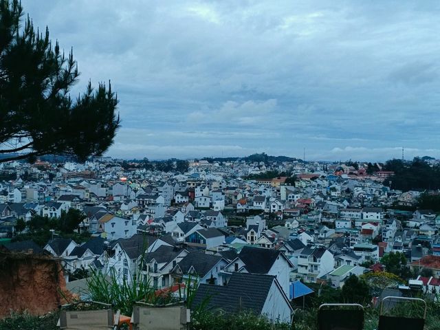 Enjoy the cool breeze in the summer of Dalat 🌲