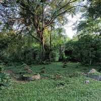 Bukit Brown Cemetery (Free historical walking site)