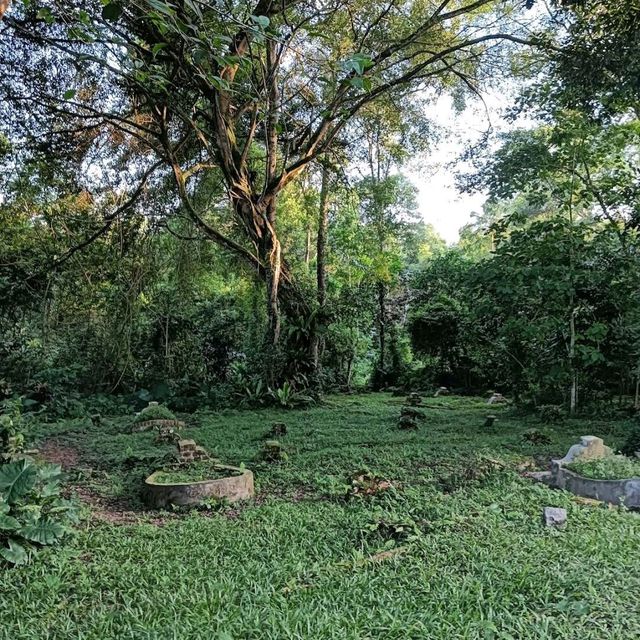 Bukit Brown Cemetery (Free historical walking site)