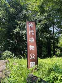 神代植物公園🇯🇵の大温室でサボテン鑑賞🌵⟡.·