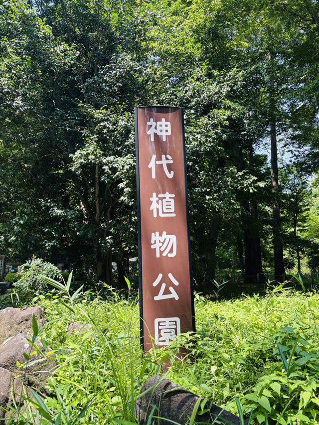 神代植物公園🇯🇵の大温室でサボテン鑑賞🌵⟡.·