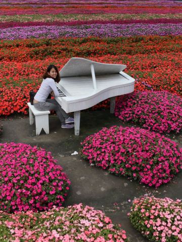 Flower-Powered Wander: A Walk Through Zhongshe Flower Market