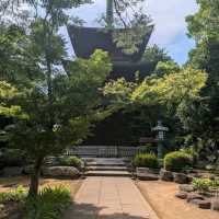 Gotokuji Temple (Setagaya)