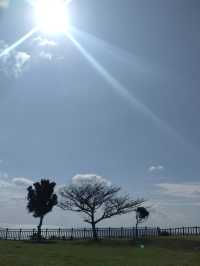【神聖な空気に包まれる】琉球の聖地「斎場御嶽」で心を整える旅