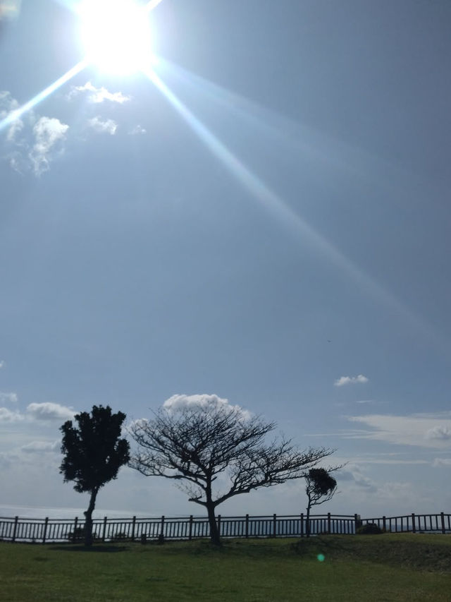 【神聖な空気に包まれる】琉球の聖地「斎場御嶽」で心を整える旅