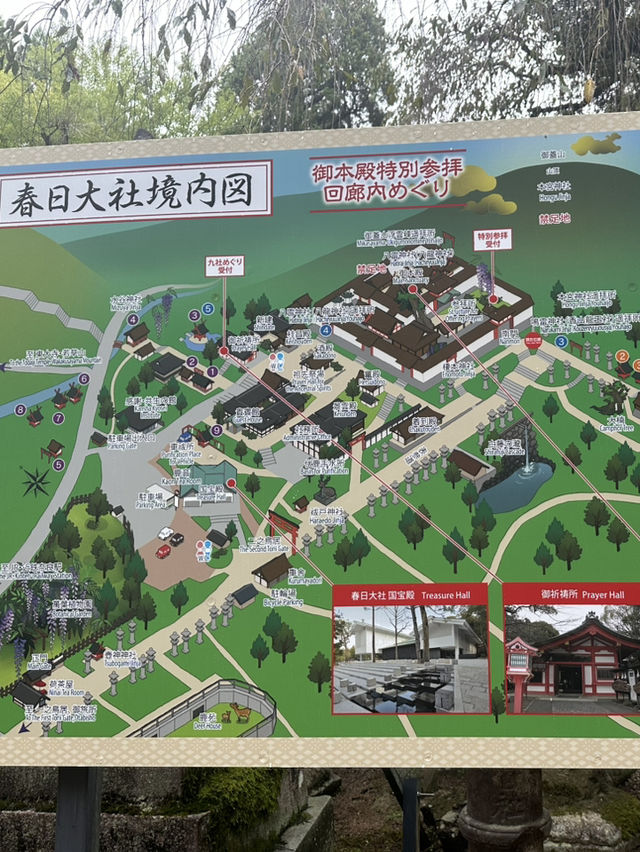 春日大社：在奈良感受神社的靈氣，探訪自然與文化的和諧交融！