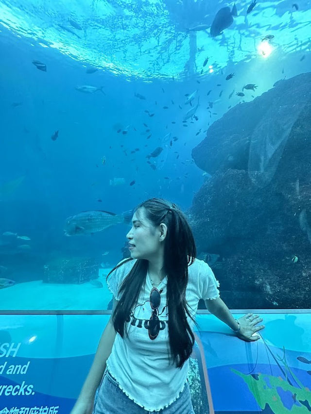 Singapore Oceanarium (S.E.A Aquarium)