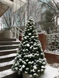 Seoul Forest in winter