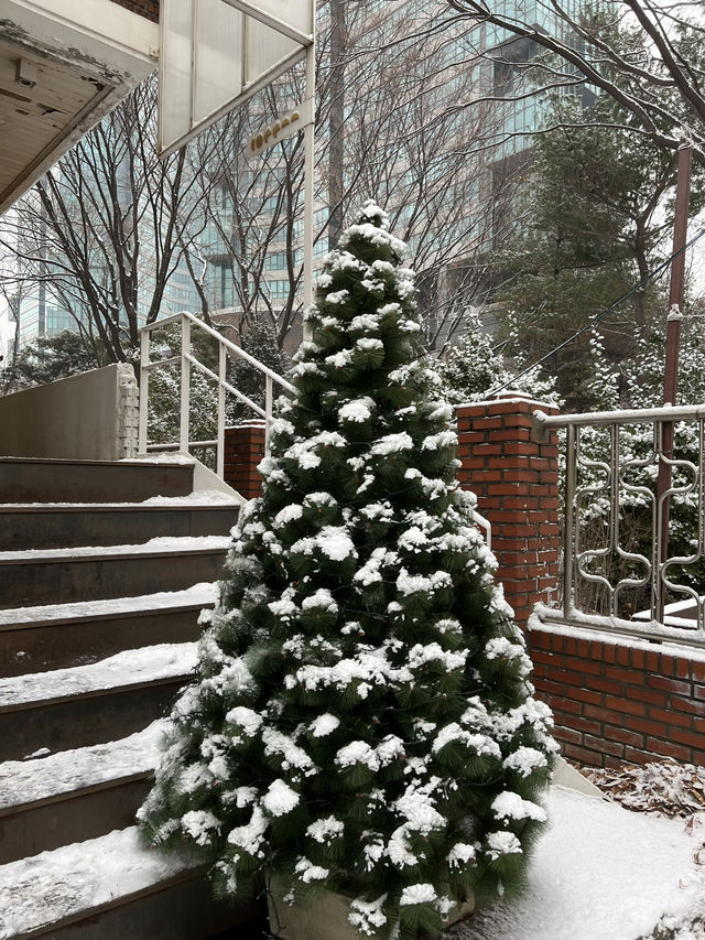 Seoul Forest in winter
