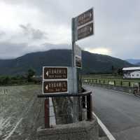 台東池上伯朗大道