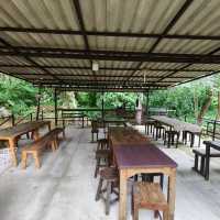 🌿 ปางไฮคอฟฟี่ช็อป (PangHai Coffee Shop) 🌿