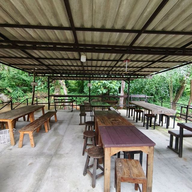🌿 ปางไฮคอฟฟี่ช็อป (PangHai Coffee Shop) 🌿
