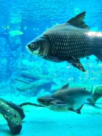 River Wonders: A Fun Wildlife Adventure in Singapore