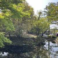 🍵⛩️🏮 Strolling Through Ninenzaka & Sannenzaka – Kyoto’s Timeless Slopes