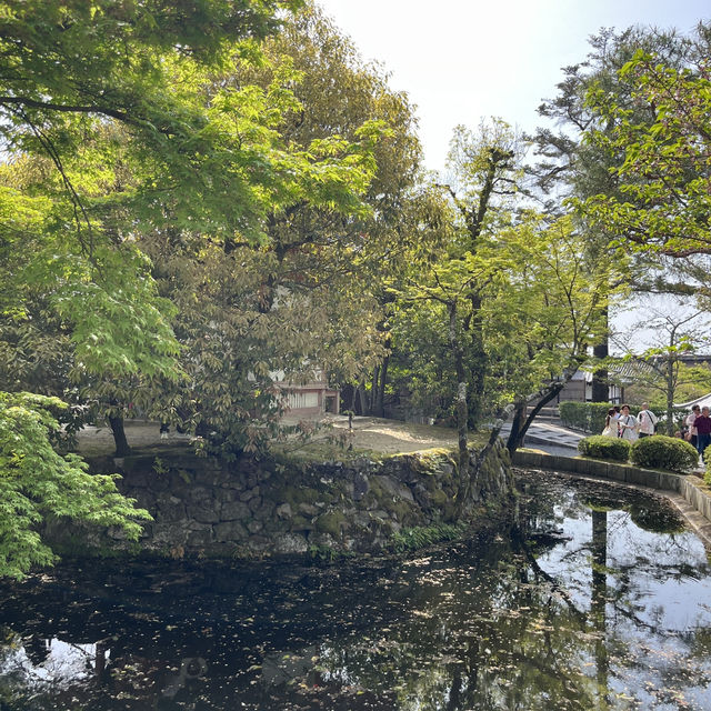🍵⛩️🏮 Strolling Through Ninenzaka & Sannenzaka – Kyoto’s Timeless Slopes