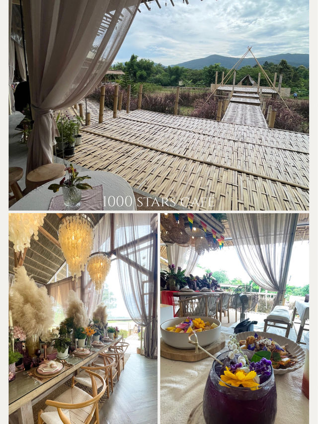 🌿 Cafe ลับในทุ่งไม้ไผ่ ‘1000 Stars’ จ.เชียงราย ☁️