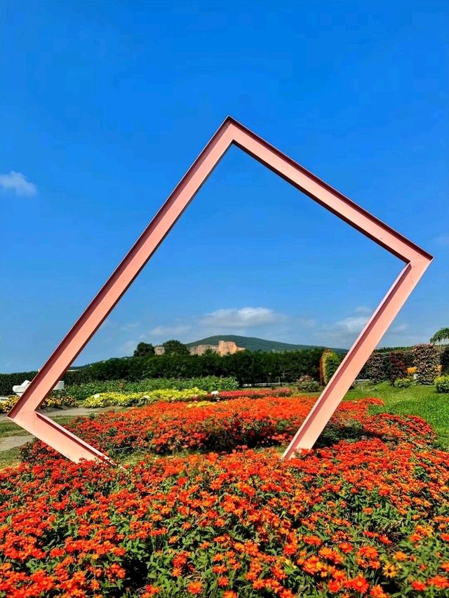 A Colorful Day at Zhongshe Flower Farm, Taichung
