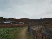 日本東北山形縣賞和牛 米澤車站周邊遊