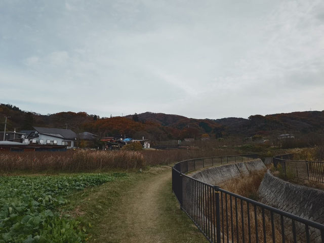 日本東北山形縣賞和牛 米澤車站周邊遊