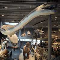 The Shanghai Natural History Museum