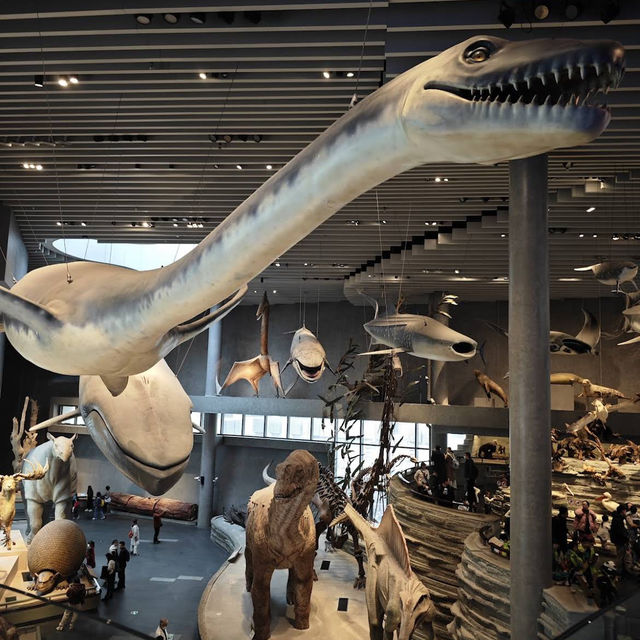 The Shanghai Natural History Museum