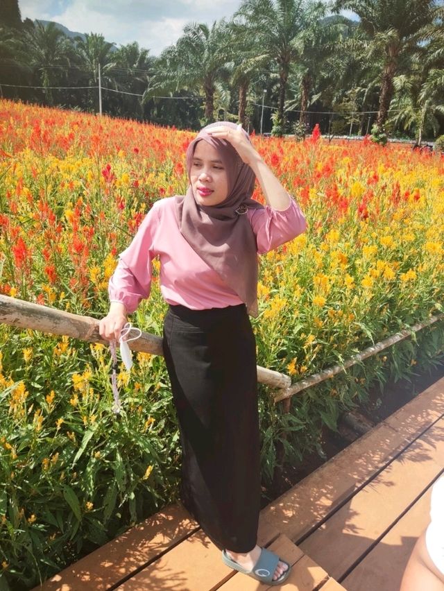 ไร่คุณอารียา – บ้านทุ่ง กระบี่ 🌿🍇
