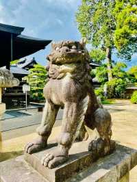 Whispers of Peace at Chion-in Temple, Kyoto