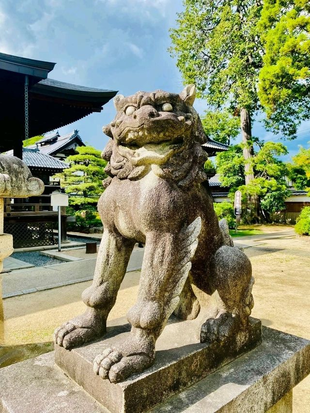 Whispers of Peace at Chion-in Temple, Kyoto