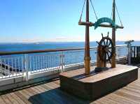 Driving Through the Sea: Tokyo Wan Aqua-Line & Umihotaru