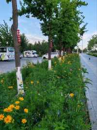 Where Blooms Meet Tranquility: The Park at Xigema International Hotel