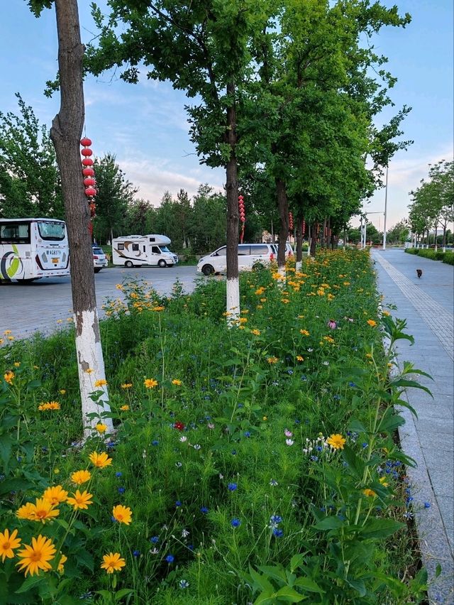 Where Blooms Meet Tranquility: The Park at Xigema International Hotel