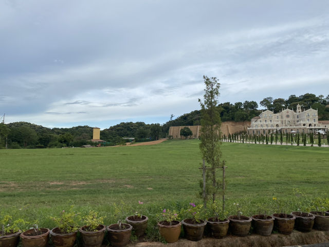  Silverlake Vineyard (ไร่องุ่นซิลเวอร์เลค) พัทยา