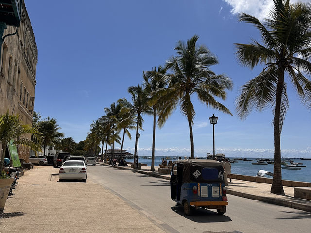 【Stone Town Beachfront／ストーンタウン・ビーチ沿い｜“歴史と海が出会う、ザンジバルの散歩道”】