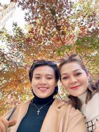 🌈….Anfu Road
