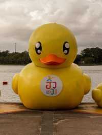 ชวนไปฮิ้ว…อุดรธานี 2568